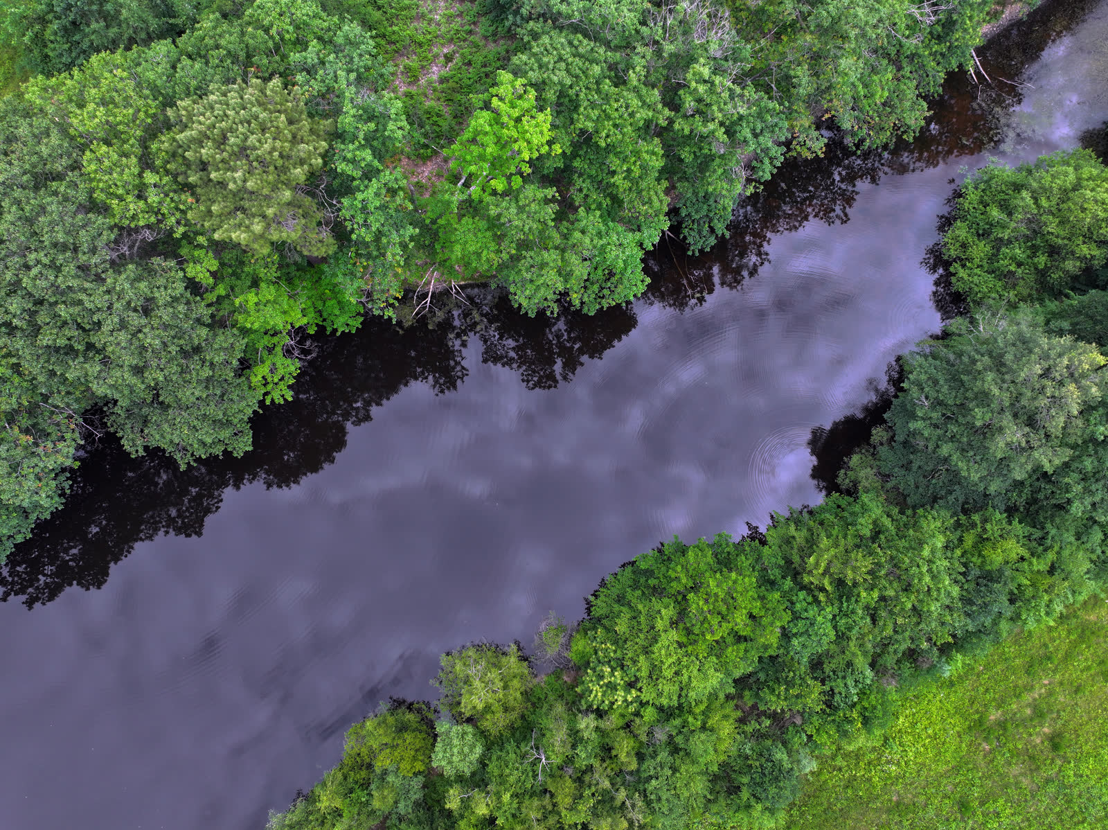 Vue aérienne zénithale par drone d'une rivière serpentant dans une forêt