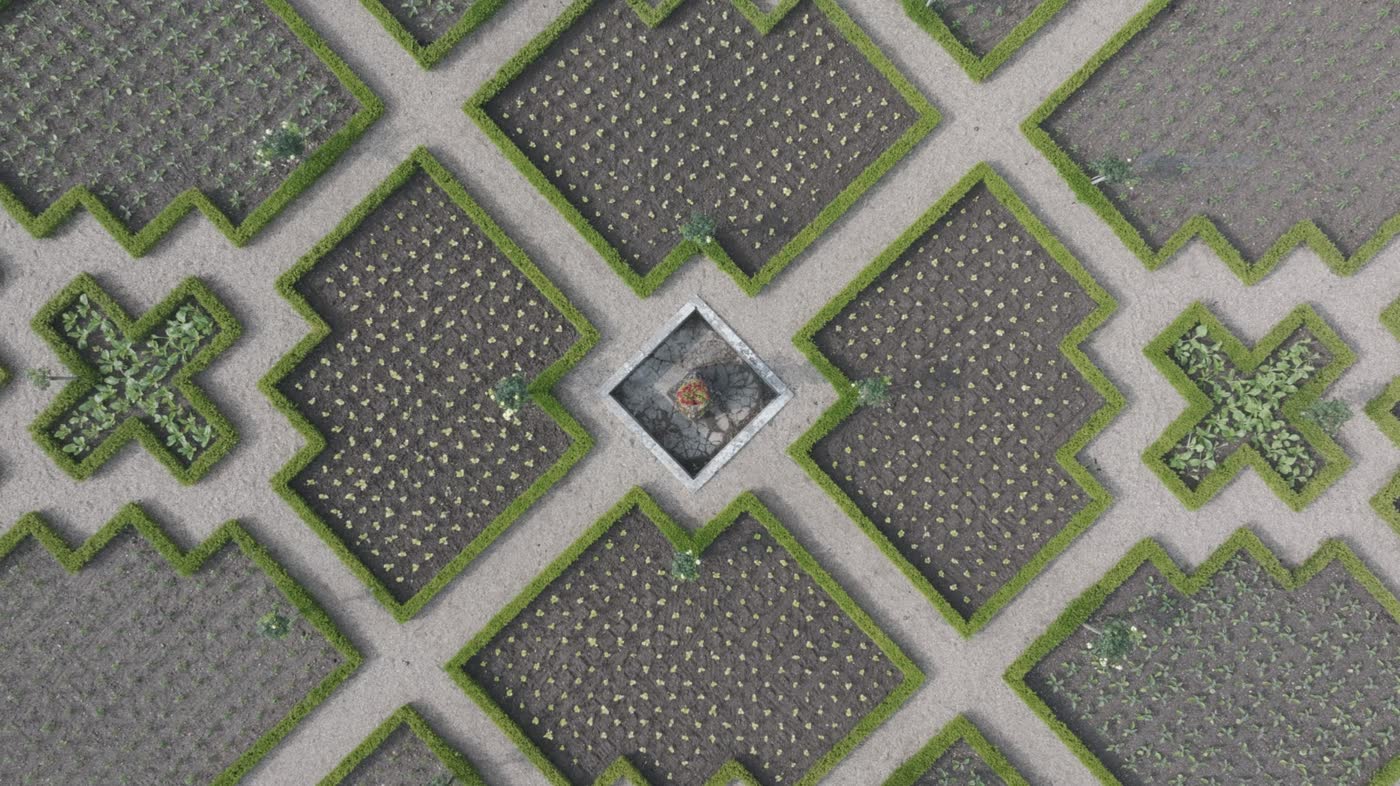 Jardins à la française vus du ciel à la verticale, motifs géométriques de buis
