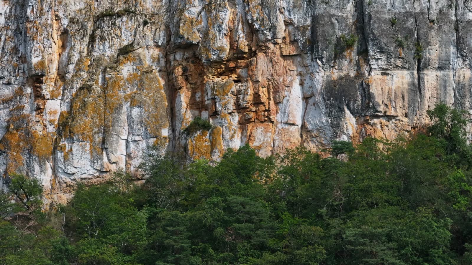 Falaise calcaire et forêt, site naturel filmé au drone à distance respectueuse